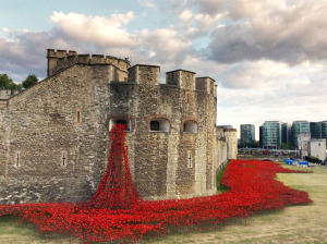 ceramic-poppies-first-world-war-installation-london-tower-12